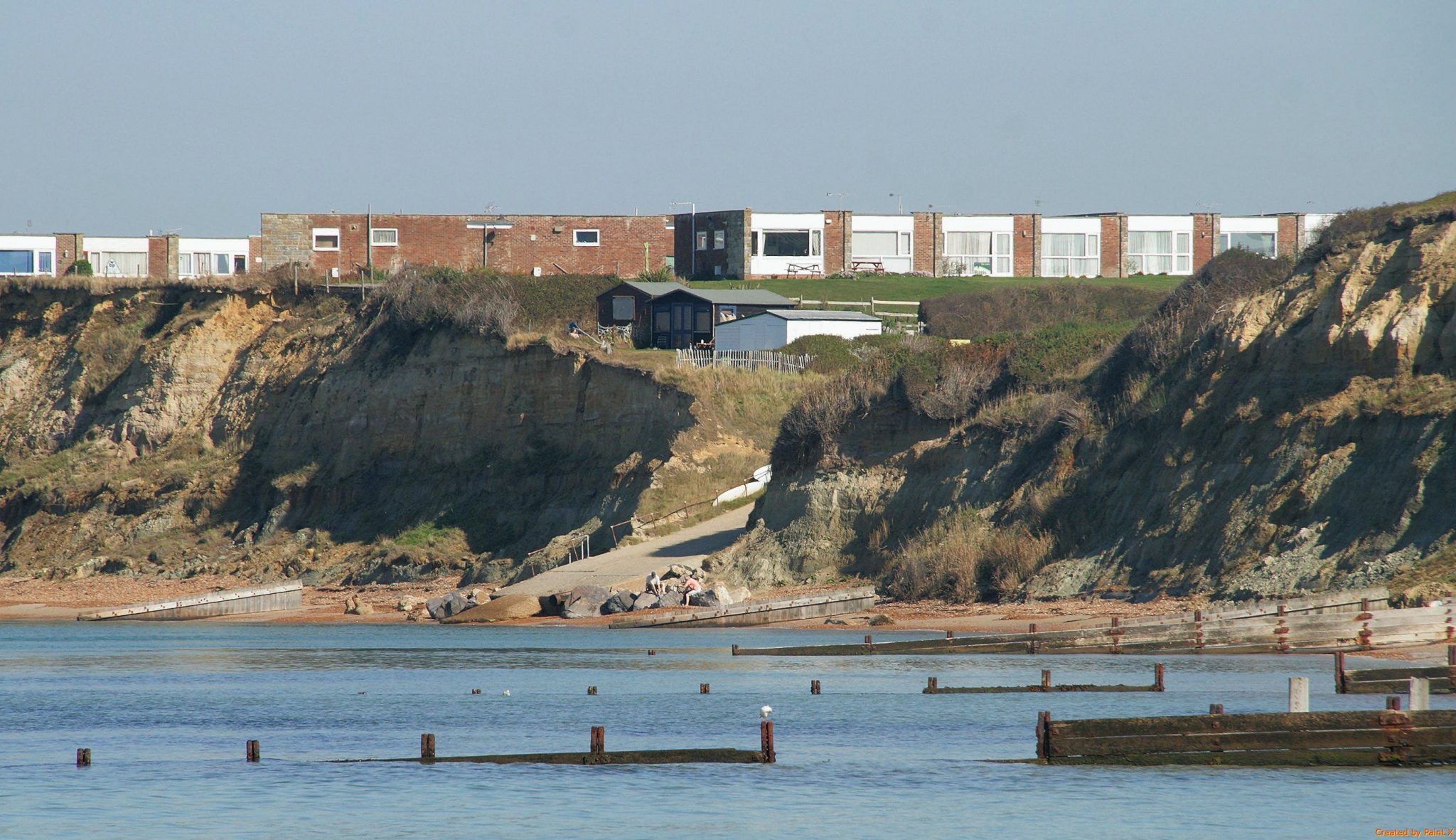 Brambles Chine from Colwell Bay